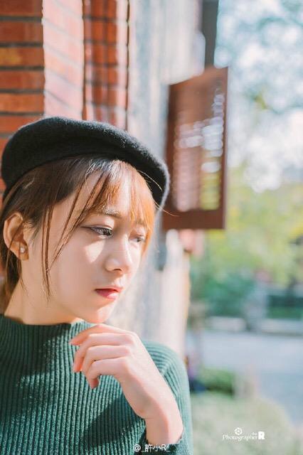 藏海花电视剧免费观看完整版